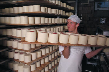 TDM Cave Fromagerie
